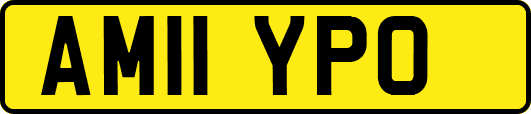 AM11YPO