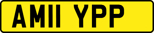 AM11YPP