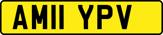AM11YPV