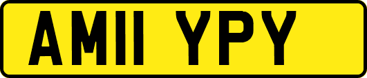 AM11YPY