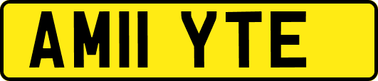 AM11YTE