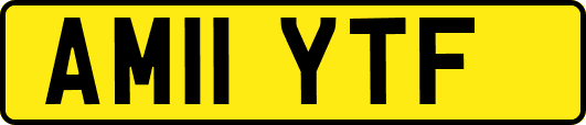 AM11YTF