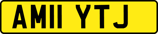 AM11YTJ