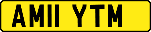 AM11YTM