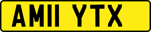 AM11YTX