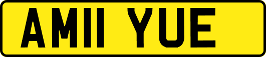 AM11YUE