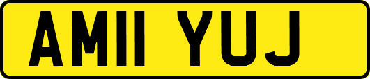 AM11YUJ