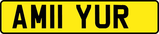AM11YUR