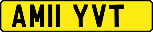 AM11YVT