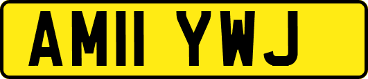 AM11YWJ