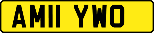 AM11YWO