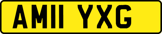 AM11YXG