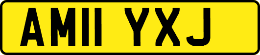 AM11YXJ