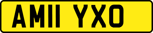 AM11YXO