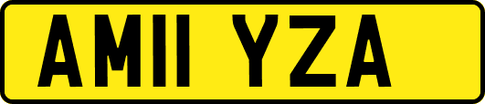 AM11YZA