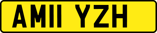 AM11YZH