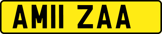 AM11ZAA