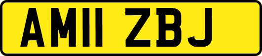 AM11ZBJ