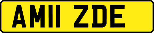 AM11ZDE