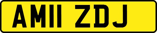 AM11ZDJ