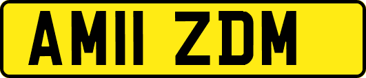 AM11ZDM