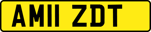 AM11ZDT