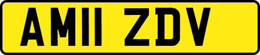 AM11ZDV