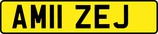 AM11ZEJ