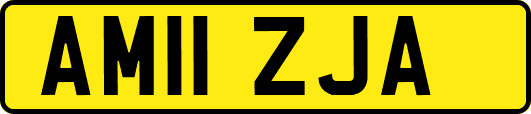 AM11ZJA