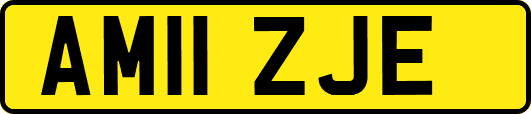 AM11ZJE