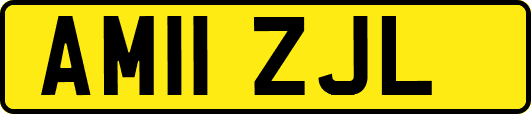 AM11ZJL