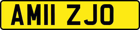 AM11ZJO