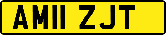 AM11ZJT