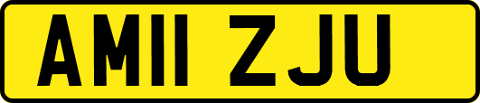 AM11ZJU