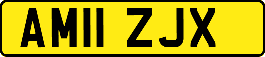 AM11ZJX
