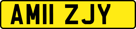 AM11ZJY