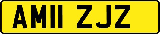 AM11ZJZ