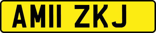 AM11ZKJ