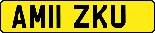 AM11ZKU