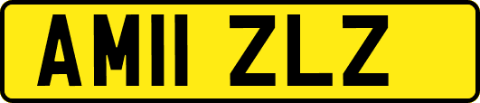 AM11ZLZ