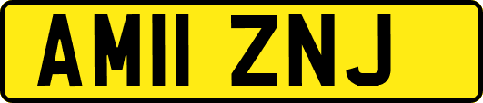 AM11ZNJ