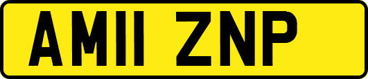 AM11ZNP
