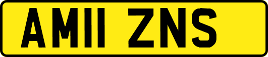 AM11ZNS