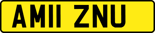 AM11ZNU