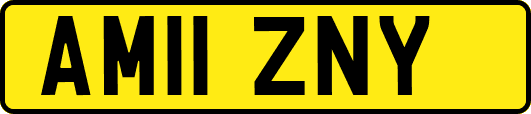 AM11ZNY