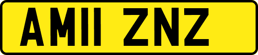AM11ZNZ