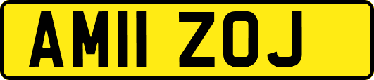 AM11ZOJ
