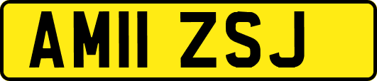AM11ZSJ