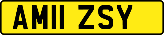 AM11ZSY
