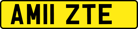AM11ZTE